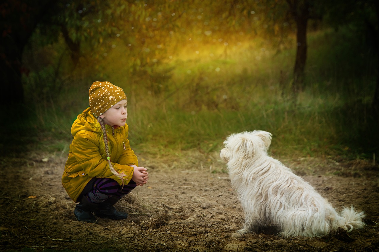 mindfulness e gentilezza